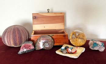Shells And Rocks - With Wooden Keepsake Box