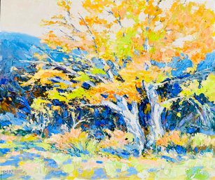 Jim Barker Signed Sun Lit Sycamore - Acrylic Painting On Board- Unframed
