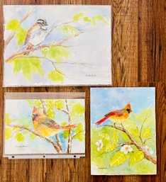 3 Claudette Barker Signed Bird Watercolor Paintings, Unframed