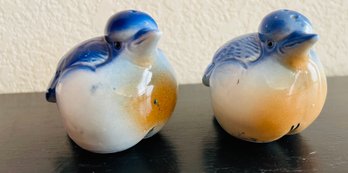 Vintage Blue Birds Salt And Pepper Shakers