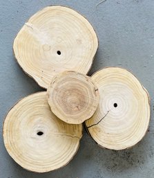 Four Wood Slices, Some With Cracks