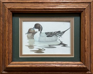 Framed Duck's Swimming Print