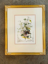 Hawthrons And Butterfly Framed Print