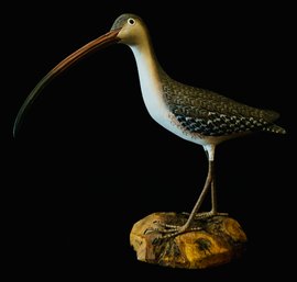 Carved Wood Curlew Sculpture