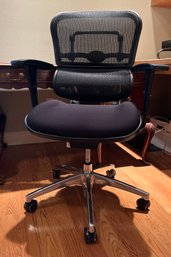 Raynor Ergohuman Black Mesh Office Chair