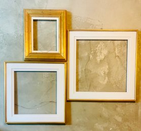 Trio Of Matted Frames