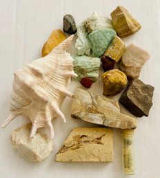 Assortment Of  Mineral Stones Including Fossils & Shell