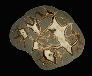 Polished Septarian Slab