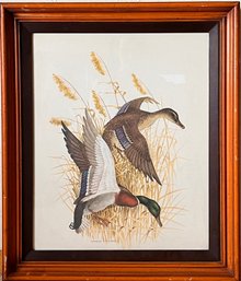 Charles Murphy Framed Art Print - Mallard Ducks