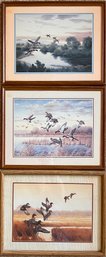 Three (3) Charles Murphy Framed Art Prints Featuring Birds In Flight