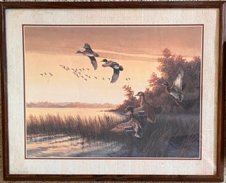 Charles Murphy Framed Art Print Featuring Ducks In Flight