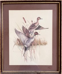 Charles Murphy Framed Art Print - Pin Tail Ducks - 1 Of 2