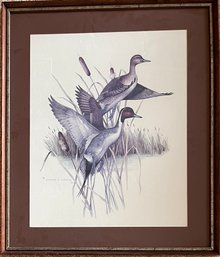 Charles Murphy Framed Art Print - Pin Tail Ducks - 2 Of 2