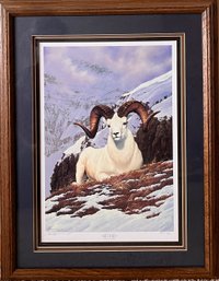 Tom Mansanarez Framed Art Print - Dall Sheep - Signed And Numbered