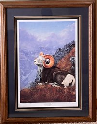 Tom Mansanarez Framed Art Print - Stone Sheep - Signed And Numbered