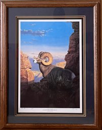 Tom Mansanarez - 'Desert Big Horn Sheep' Signed And Numbered