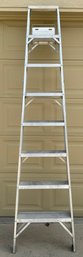 Commercial Step Ladder