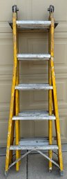 Little Giant Ladders, Step/scaffold/extension Ladder