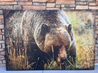 Large Bear Print On Canvas