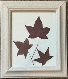 Framed Dried Leafs Wall Art