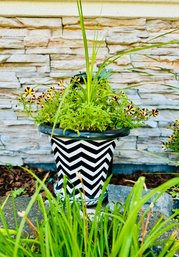 Live Plant In Black & White Zig Zag Pattern Pot