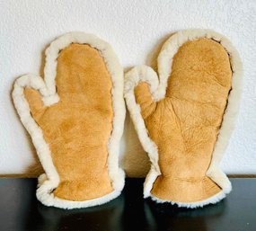 Fur Lines Leather Mittens