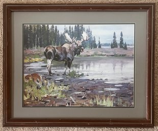 Carl Ringus Framed Print Featuring A River Moose