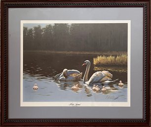 Guy Joseph Coheleach 'Mute Swans' - Framed Art Print