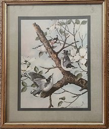 Basil Ede Framed Art Print - White Breasted Nuthatches