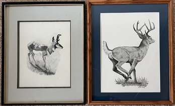 Sandi Daley &  D.Noell Smith - Antelope And Buck - Charcoal On Paper Reproductions