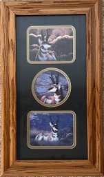 Trio Of Pronged Antelope Art In Frame