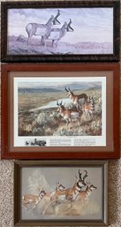 Trio Of Antelope Prints