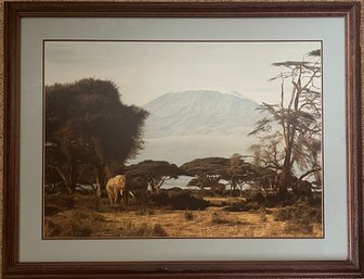 Simon Conves - Framed Art Print Singed And Numbered- 'Kilimanjaro Morning'