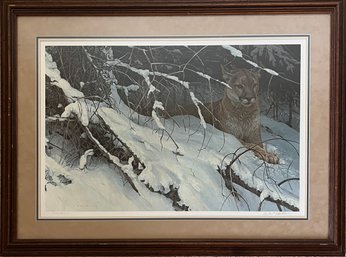 Robert Bateman - Cougar In The Snow - Framed Art Print Signed And Numbered