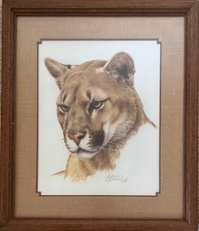 Guy Coheleach - 'Western Puma Head' - Framed Art Print