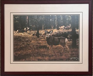 Tim Cox - 'Blue River Muley' - Framed Art Print, Signed And Numbered With COA