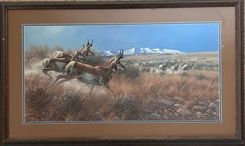 Michael Sieve - 'Flat Out- Pronghorn' - Framed Art Print