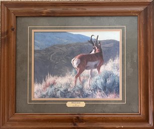 Greg Beecham - 'Speed Goat' - Framed Art Print