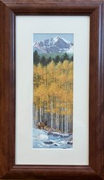 Elk In The Aspens, Framed Print