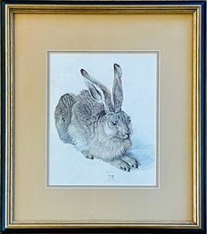 Albercht Durer Young Hare Framed Artwork