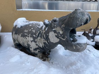 Cement Hippo