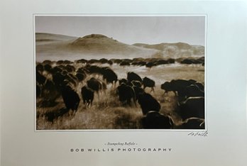 Stampeding Buffalo By Bob Willis Photography, Signed