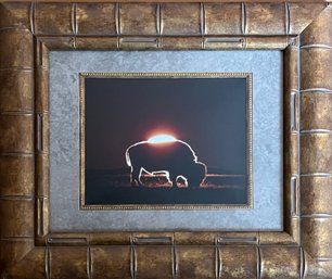 Buffalo In The Sunset, Framed Photograph