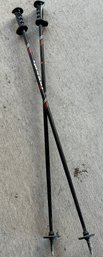 Gipron Ski Poles- Made In Italy