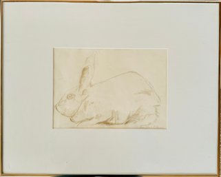 Framed Artwork Of A Bunny By Ann Marie OBrien