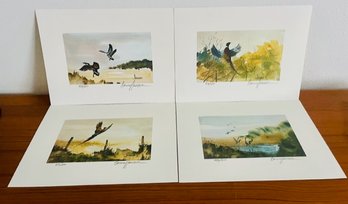 Lot Of Bird Prints