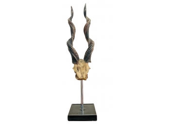African Antelope Horns Mounted On Stand