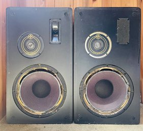 Pair Of RtR Speakers