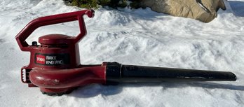 TORO Rake And VAC Leaf Blower