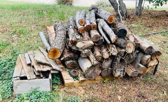 Large Lot Of Firewood